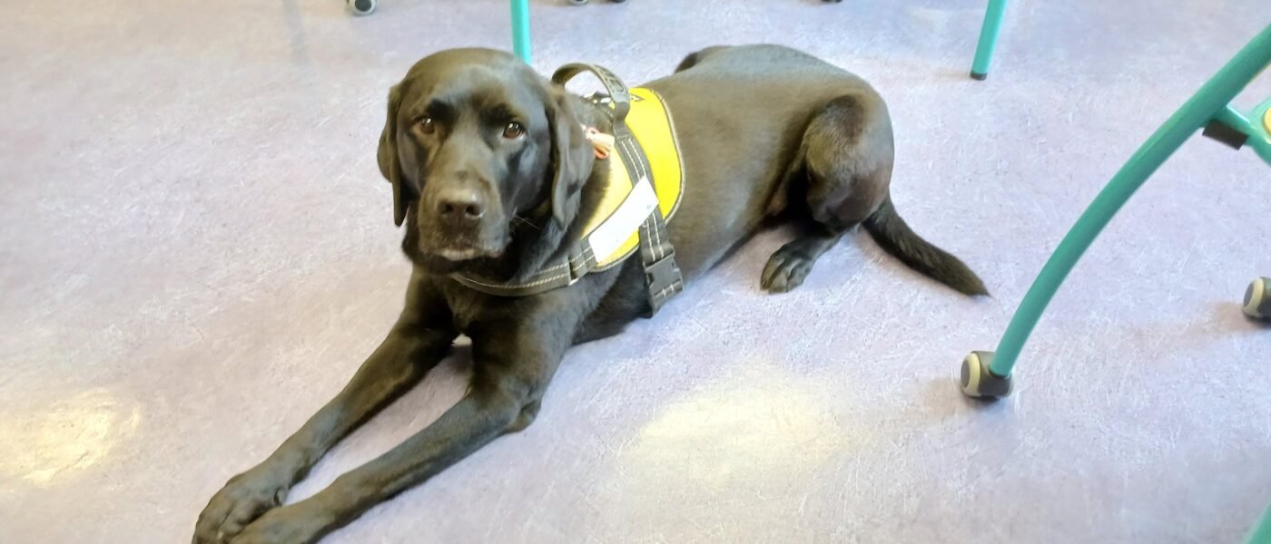 Une nouvelle alliée pour les ULiS